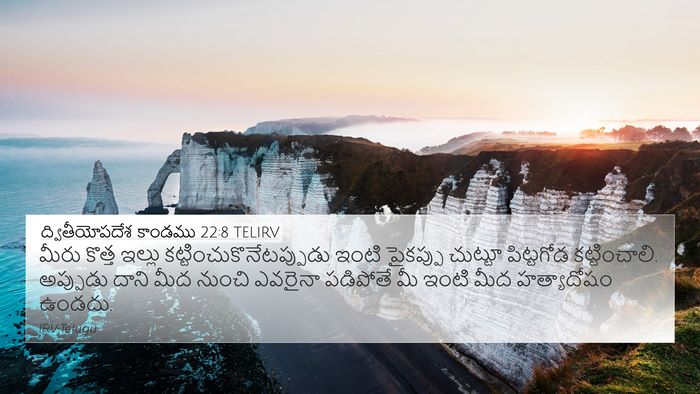 ద్వితీయోపదేశ కాండము 22:8 TELIRV Bible Verse Image