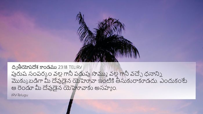 ద్వితీయోపదేశ కాండము 23:18 TELIRV Bible Verse Image