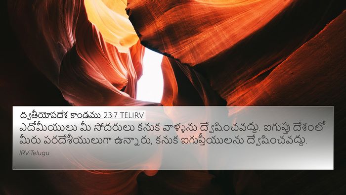ద్వితీయోపదేశ కాండము 23:7 TELIRV Bible Verse Image