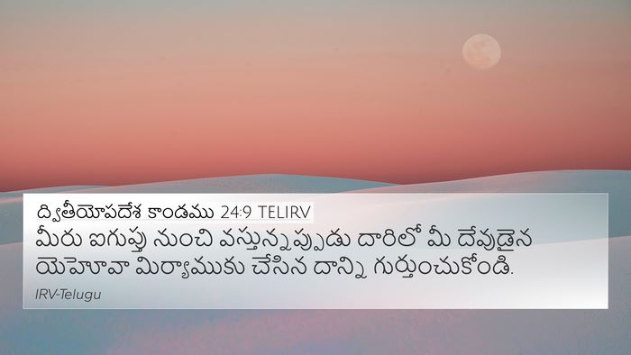 ద్వితీయోపదేశ కాండము 24:9 TELIRV 4K Wallpaper - మీరు ఐగుప్తు - 4K Wallpaper Bible Verse