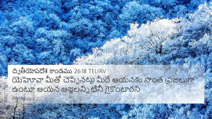 ద్వితీయోపదేశ కాండము 26:18 TELIRV Bible Verse Image