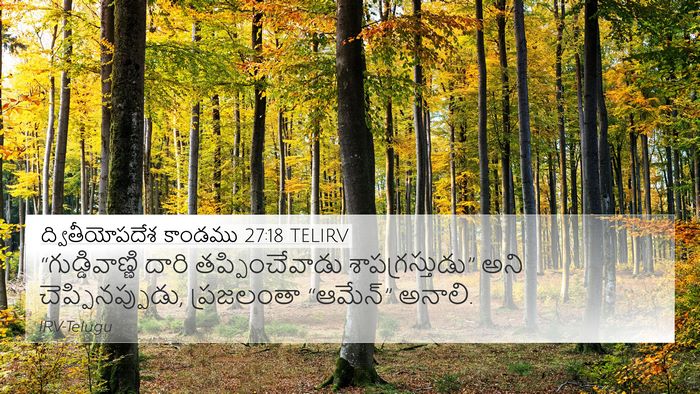 ద్వితీయోపదేశ కాండము 27:18 TELIRV 4K Wallpaper - “గుడ్డివాణ్ణి - 4K Wallpaper Bible Verse