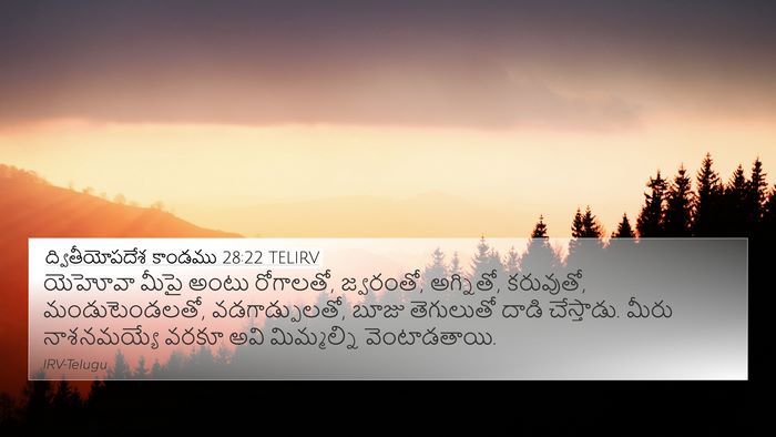 ద్వితీయోపదేశ కాండము 28:22 TELIRV Bible Verse Image