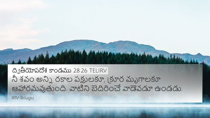 ద్వితీయోపదేశ కాండము 28:26 TELIRV Bible Verse Image
