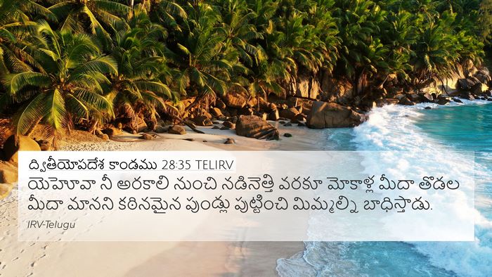 ద్వితీయోపదేశ కాండము 28:35 TELIRV Bible Verse Image
