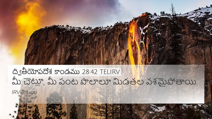 ద్వితీయోపదేశ కాండము 28:42 TELIRV Bible Verse Image