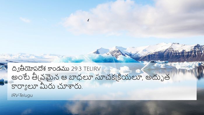 ద్వితీయోపదేశ కాండము 29:3 TELIRV Bible Verse Image