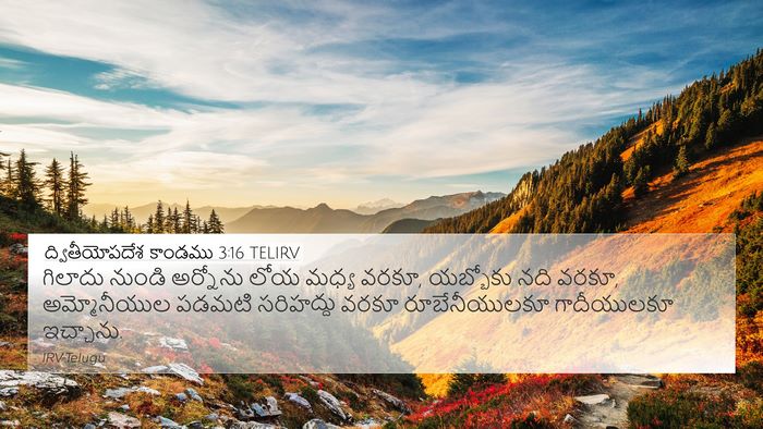 ద్వితీయోపదేశ కాండము 3:16 TELIRV Bible Verse Image