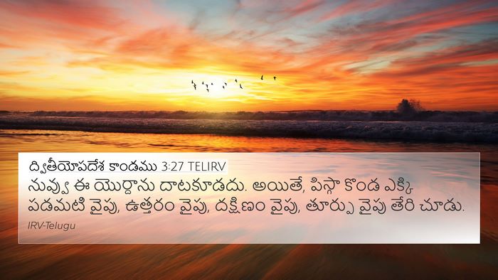 ద్వితీయోపదేశ కాండము 3:27 TELIRV Bible Verse Image