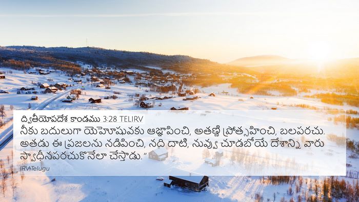 ద్వితీయోపదేశ కాండము 3:28 TELIRV Bible Verse Image