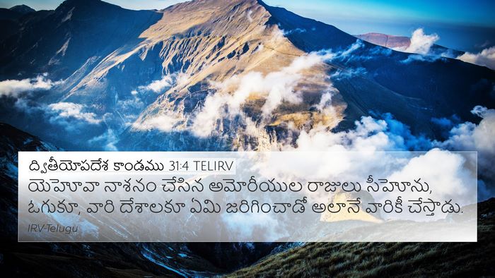 ద్వితీయోపదేశ కాండము 31:4 TELIRV 4K Wallpaper - యెహోవా నాశనం - 4K Wallpaper Bible Verse