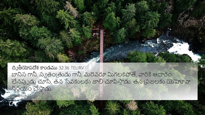 ద్వితీయోపదేశ కాండము 32:36 TELIRV Bible Verse Image
