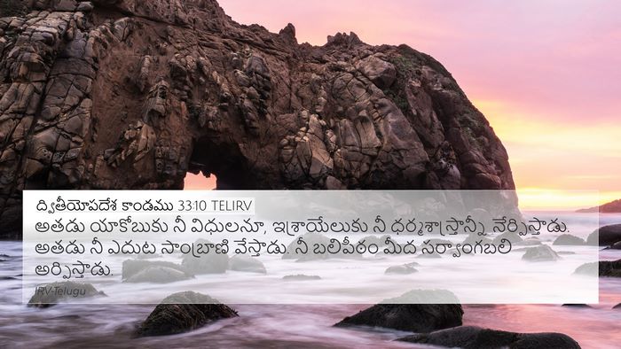 ద్వితీయోపదేశ కాండము 33:10 TELIRV Bible Verse Image