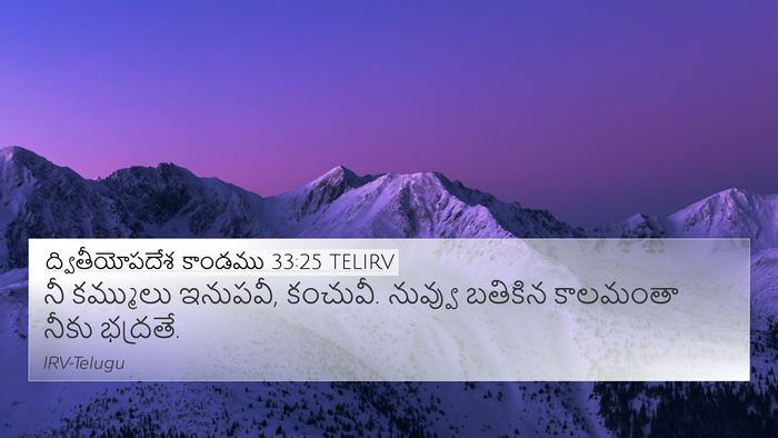 ద్వితీయోపదేశ కాండము 33:25 TELIRV Bible Verse Image