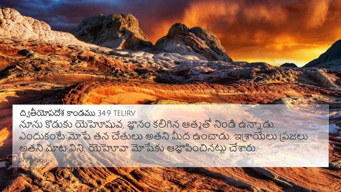 ద్వితీయోపదేశ కాండము 34:9 TELIRV Bible Verse Image