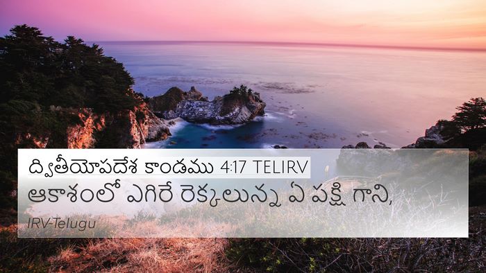 ద్వితీయోపదేశ కాండము 4:17 TELIRV 4K Wallpaper - ఆకాశంలో ఎగిరే - 4K Wallpaper Bible Verse