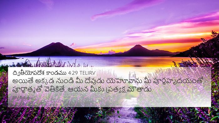 ద్వితీయోపదేశ కాండము 4:29 TELIRV Bible Verse Image