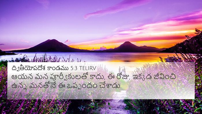 ద్వితీయోపదేశ కాండము 5:3 TELIRV Bible Verse Image