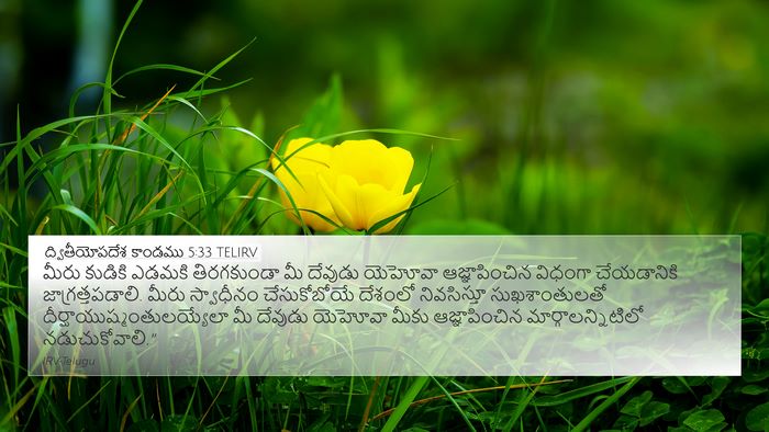 ద్వితీయోపదేశ కాండము 5:33 TELIRV Bible Verse Image