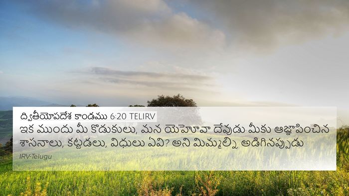 ద్వితీయోపదేశ కాండము 6:20 TELIRV Bible Verse Image