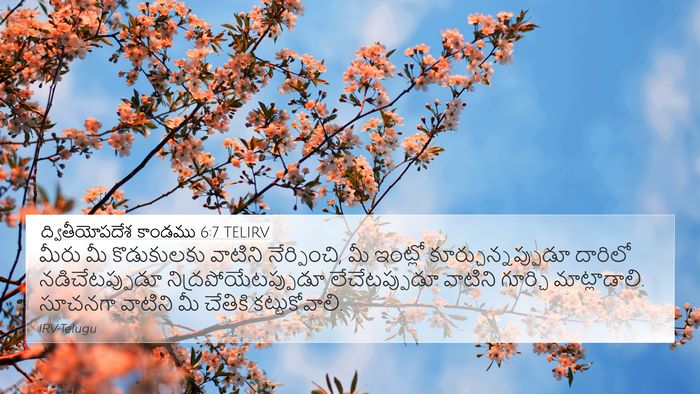 ద్వితీయోపదేశ కాండము 6:7 TELIRV Bible Verse Image