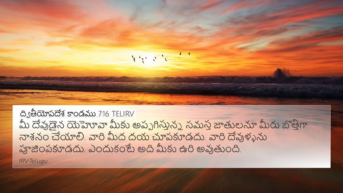 ద్వితీయోపదేశ కాండము 7:16 TELIRV Bible Verse Image