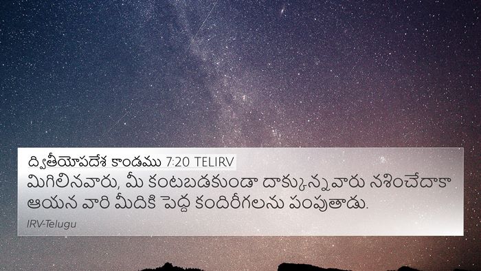 ద్వితీయోపదేశ కాండము 7:20 TELIRV 4K Wallpaper - మిగిలినవారు, మీ - 4K Wallpaper Bible Verse
