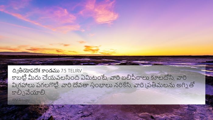 ద్వితీయోపదేశ కాండము 7:5 TELIRV Bible Verse Image