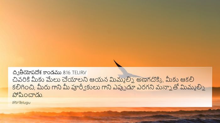 ద్వితీయోపదేశ కాండము 8:16 TELIRV Bible Verse Image
