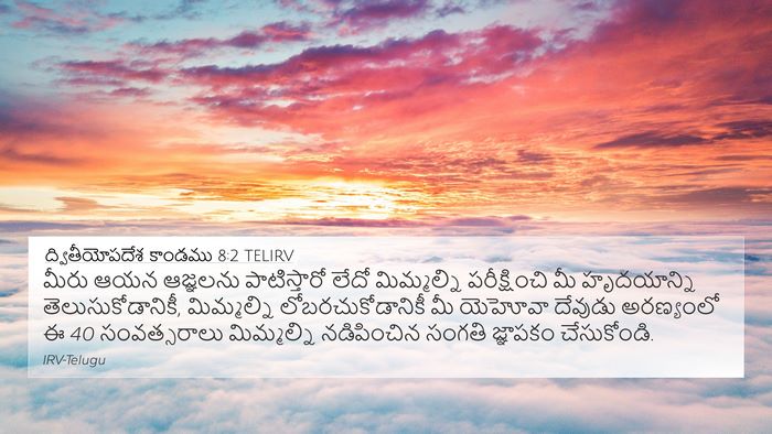 ద్వితీయోపదేశ కాండము 8:2 TELIRV Bible Verse Image