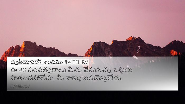 ద్వితీయోపదేశ కాండము 8:4 TELIRV Bible Verse Image