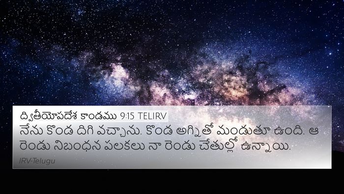 ద్వితీయోపదేశ కాండము 9:15 TELIRV Bible Verse Image
