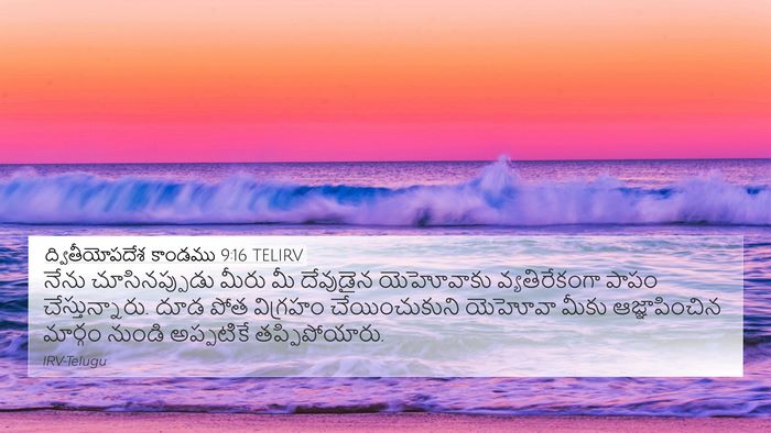 ద్వితీయోపదేశ కాండము 9:16 TELIRV Bible Verse Image