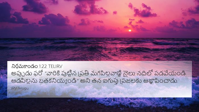 నిర్గమకాండం 1:22 TELIRV Bible Verse Image