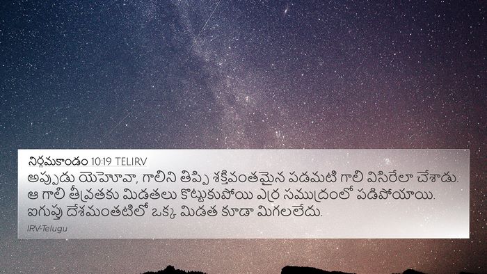నిర్గమకాండం 10:19 TELIRV Bible Verse Image