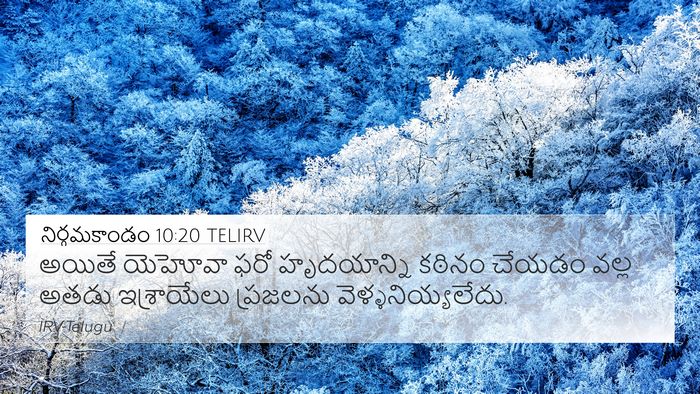 నిర్గమకాండం 10:20 TELIRV Bible Verse Image