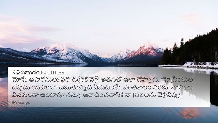 నిర్గమకాండం 10:3 TELIRV Bible Verse Image