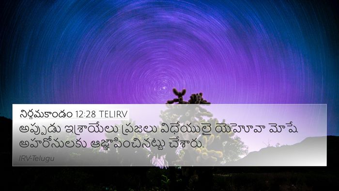 నిర్గమకాండం 12:28 TELIRV Bible Verse Image