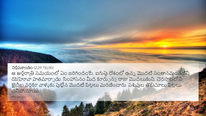 నిర్గమకాండం 12:29 TELIRV Bible Verse Image