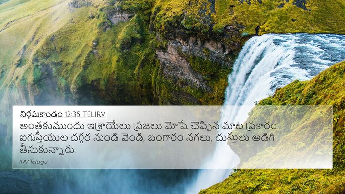 నిర్గమకాండం 12:35 TELIRV Bible Verse Image