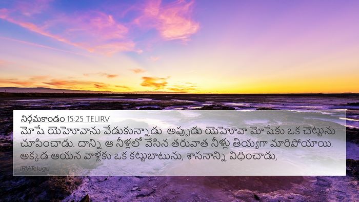 నిర్గమకాండం 15:25 TELIRV Bible Verse Image