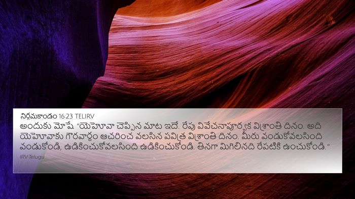 నిర్గమకాండం 16:23 TELIRV Bible Verse Image