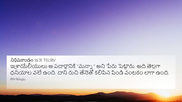 నిర్గమకాండం 16:31 TELIRV Bible Verse Image