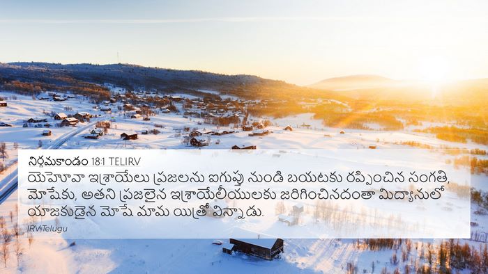 నిర్గమకాండం 18:1 TELIRV Bible Verse Image