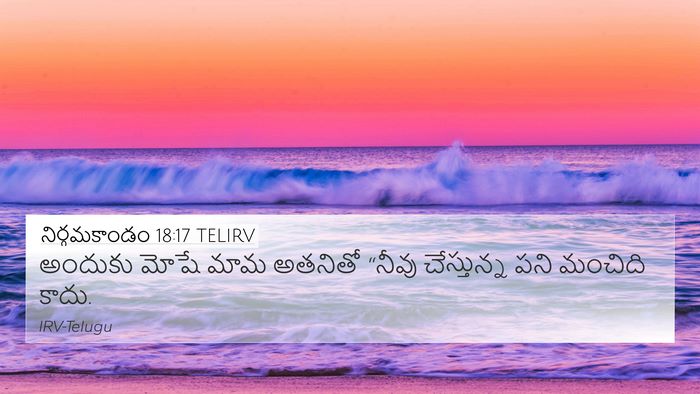 నిర్గమకాండం 18:17 TELIRV Bible Verse Image