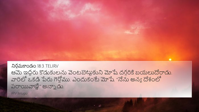 నిర్గమకాండం 18:3 TELIRV Bible Verse Image
