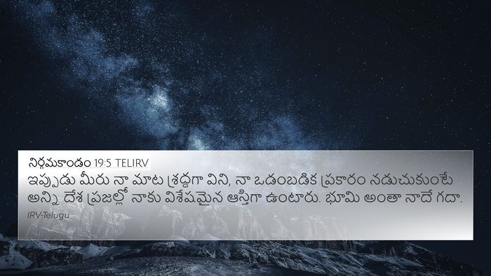 నిర్గమకాండం 19:5 TELIRV Bible Verse Image