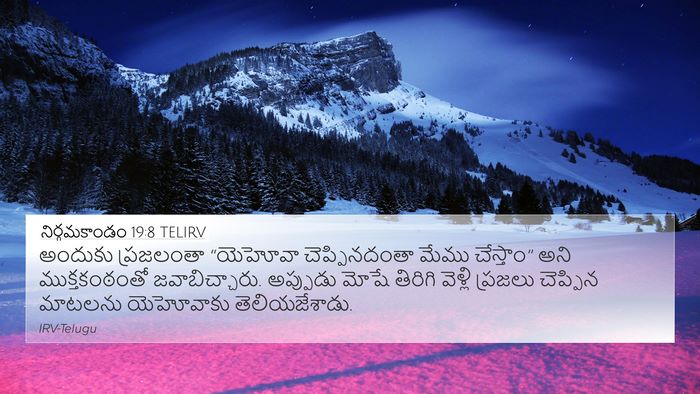 నిర్గమకాండం 19:8 TELIRV Bible Verse Image