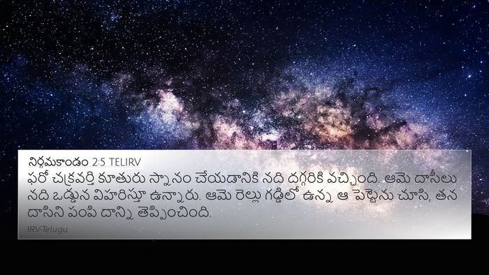 నిర్గమకాండం 2:5 TELIRV 4K Wallpaper - ఫరో చక్రవర్తి - 4K Wallpaper Bible Verse