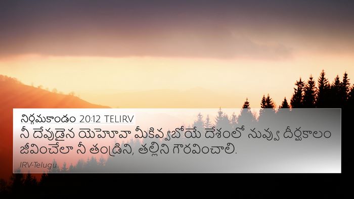 నిర్గమకాండం 20:12 TELIRV Bible Verse Image